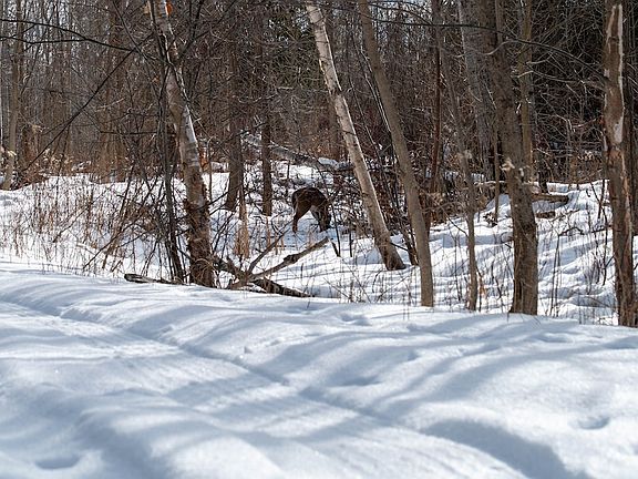 4th image of 0 Wilds Rd