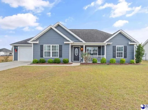 313 Millbrook Cir, Galivants Ferry, SC 29544