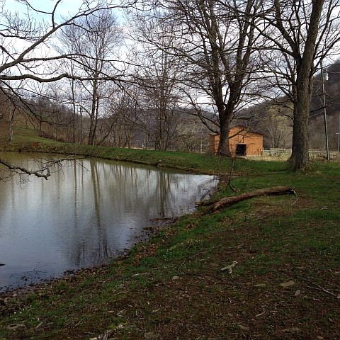 1st image of 9275 State Highway 194 N