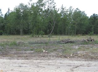 1150 Paris Ave, Swainsboro, GA 30401