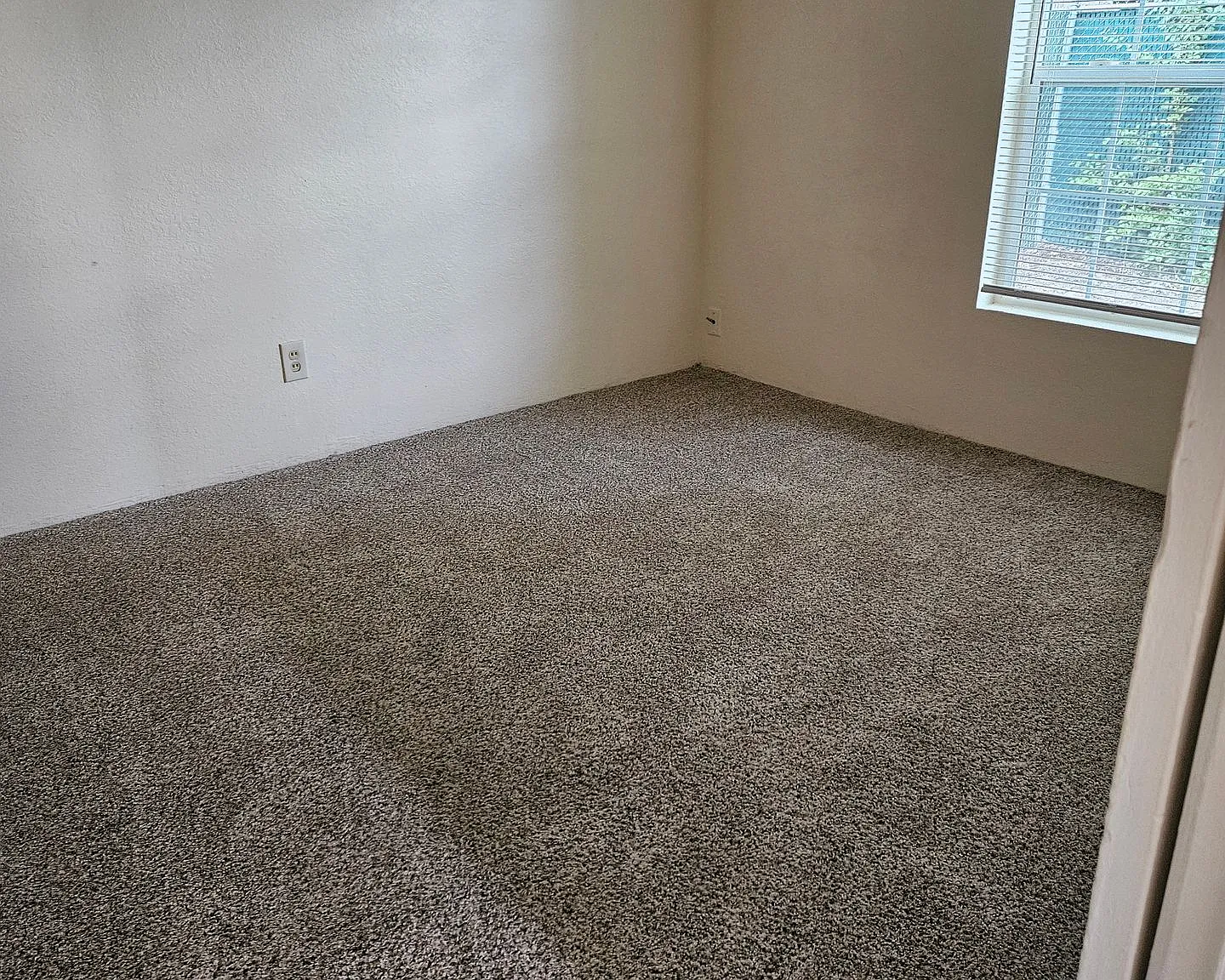 Florence Lane SE P804 — Photo 4