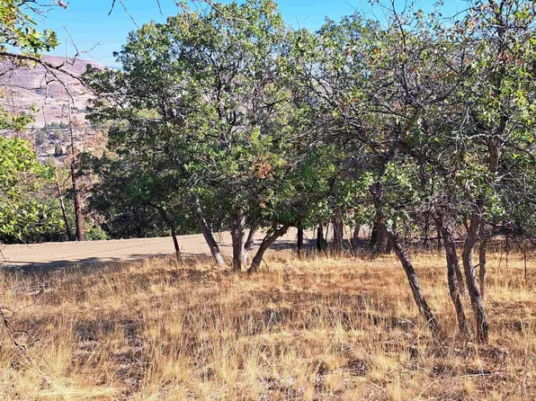 LOT 357 Cougar St, Hornbrook, CA 96044