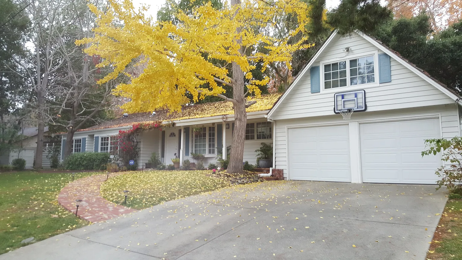 1000 Crooked Creek Dr photo 1