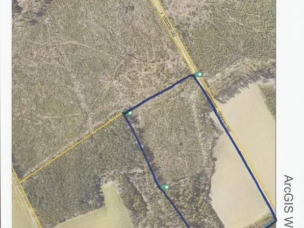 TBD Shawn Ln., Lake City, SC 29560