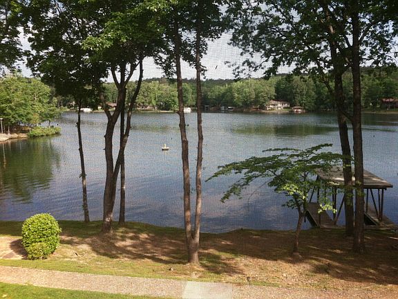 View from the back yard