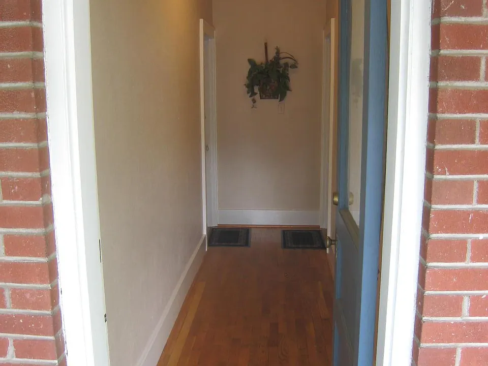 Rear entrance to house, with apartment door on the right at the end of the hall.