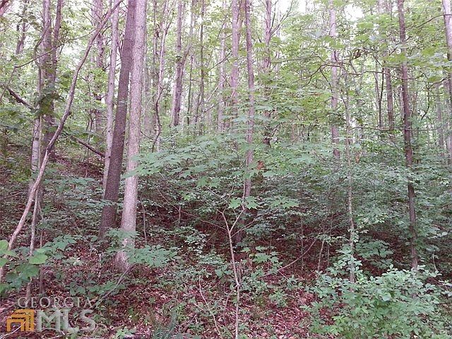 2nd image of 498 White Pine Cir