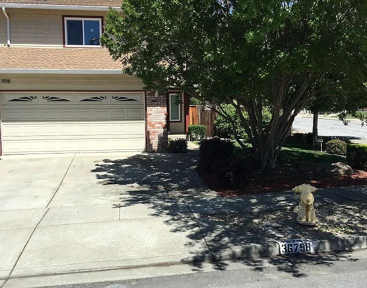 36790 Nichols Ave — Photo 13