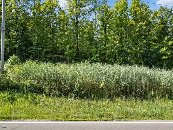 Sleepy Hollow Rd, Brunswick, OH 44212