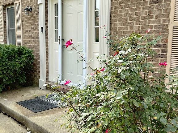 3rd image of 7305 Cannon Ct
