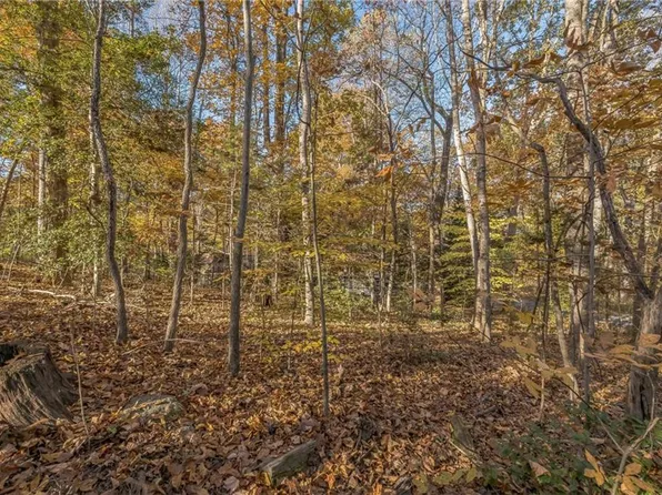 LT576 Locust Drive, Louisa, VA 23093