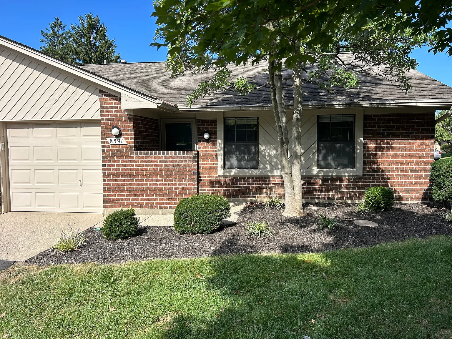 2 bed, 1.5 bath, 975 sqft, $1,275 — Photo 3