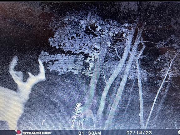 5th image of 3800 Wedde Rd