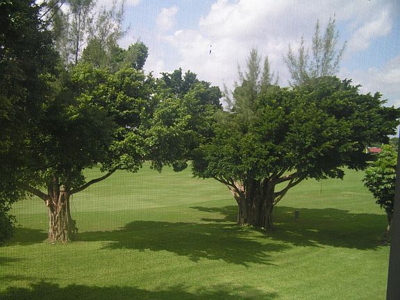 4th image of 9520 S Hollybrook Lake Dr APT 303