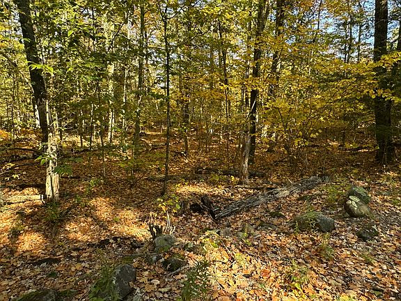 2nd image of 4acres Deering Ridge Road