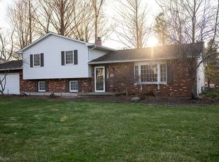 1010 Royal Dr, Amherst, OH 44001