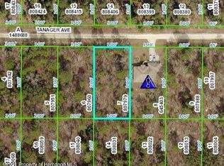 0 Tanager Ave, Weeki Wachee, FL 34614