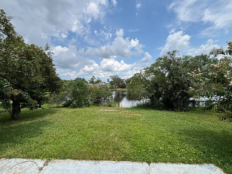 Backyard View