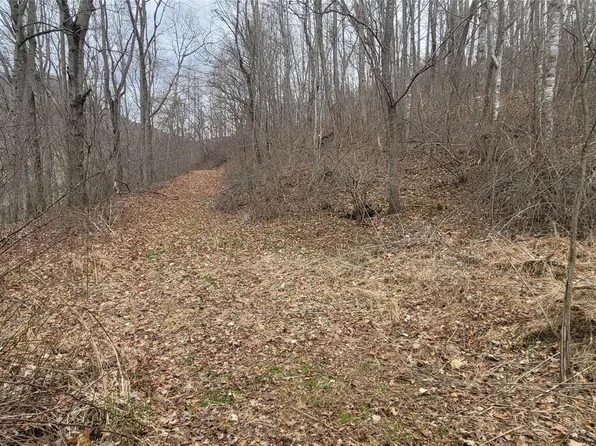 4 Cloudy Hill Dr, Clyde, NC 28721