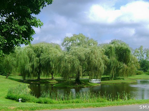 4th image of 8 Blue Meadow Road