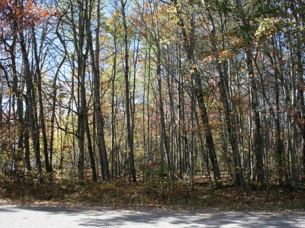 LOT 171 Englewood Dr, Roscommon, MI 48653