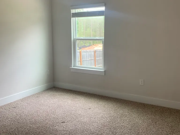 4475 Water Leaf Cv — Photo 11