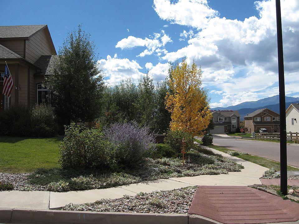 beautiful landscaping