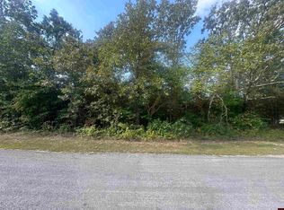 301 W Lansing Ave, Horseshoe Bend, AR 72512