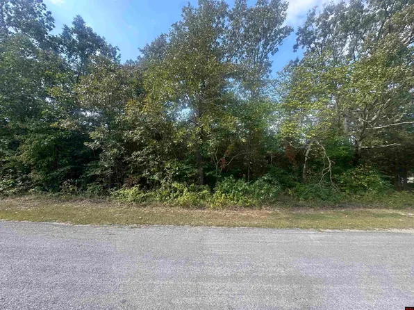 301 W Lansing Ave, Horseshoe Bend, AR 72512