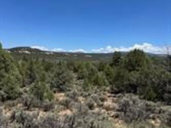 1 Five Talavara, Tierra Amarilla, NM 87575