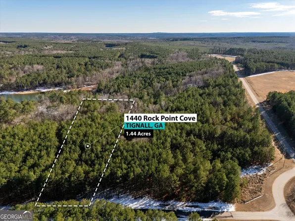 1440 Rock Point Cv, Tignall, GA 30668