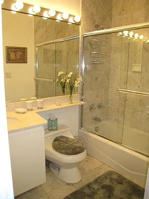 Rented by Douglas Elliman | media 28