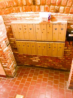 Rented by Veracity NYC LLC | media 38