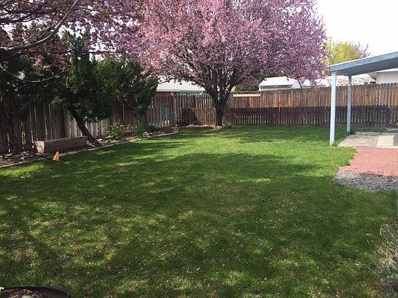 Backyard2