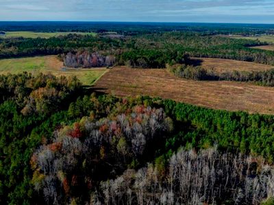 0 Water Oak Rd #2, Sylvania, GA, 30467