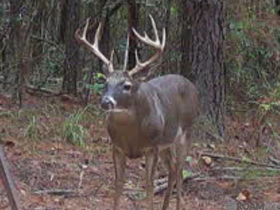 1st image of State Highway 1042