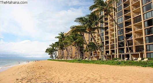 2nd image of 110 Kaanapali Shores Pl #816