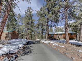 195 Kudu Trl, Bailey, CO 80421