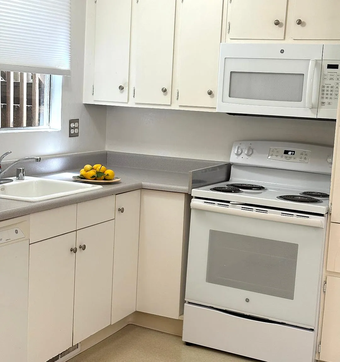 2 bed, 950 sqft, $3,300 — Photo 4