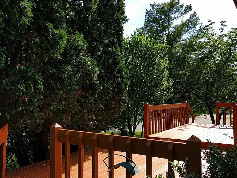 1504 E Bradshire St — Photo 11