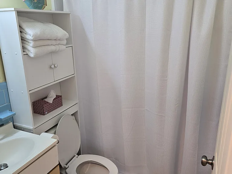 110 Freesia St #6 — Photo 5