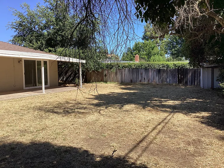 Backyard with shed.