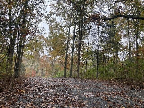 2nd image of 817 Galbraith Rd