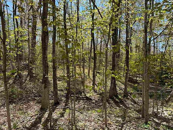 3rd image of Island Woods Road Lots 412 #413-447
