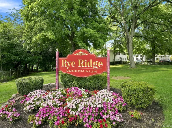19 Avon Circle #D, Rye Brook, NY 10573