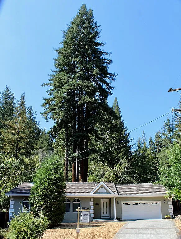 195 Oakwood Ln photo 1