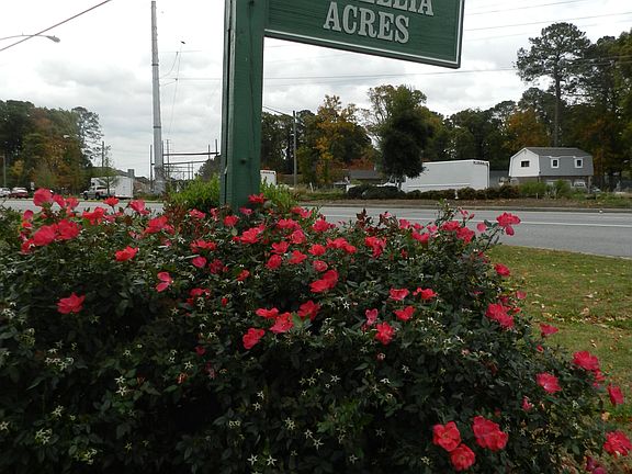 Welcome to the neighborhood