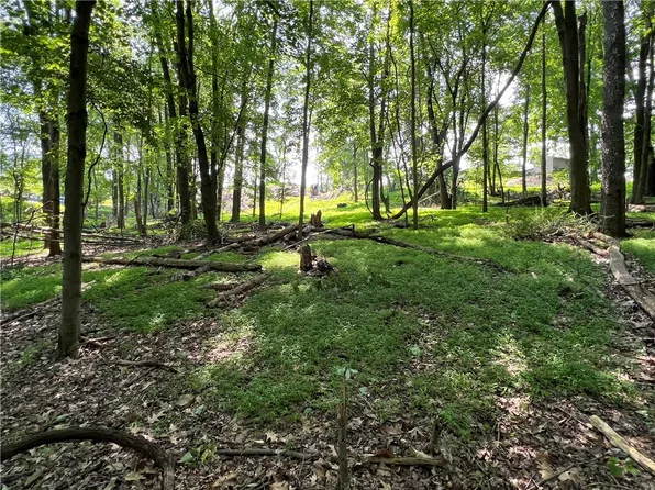 3672 Windover Rd, Murrysville, PA 15668