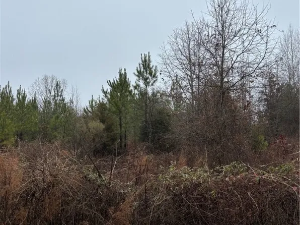 305 McCullough School Rd, Honea Path, SC 29654