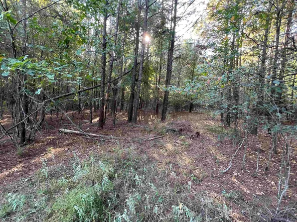 Los Altos Rd, Waskom, TX 75692